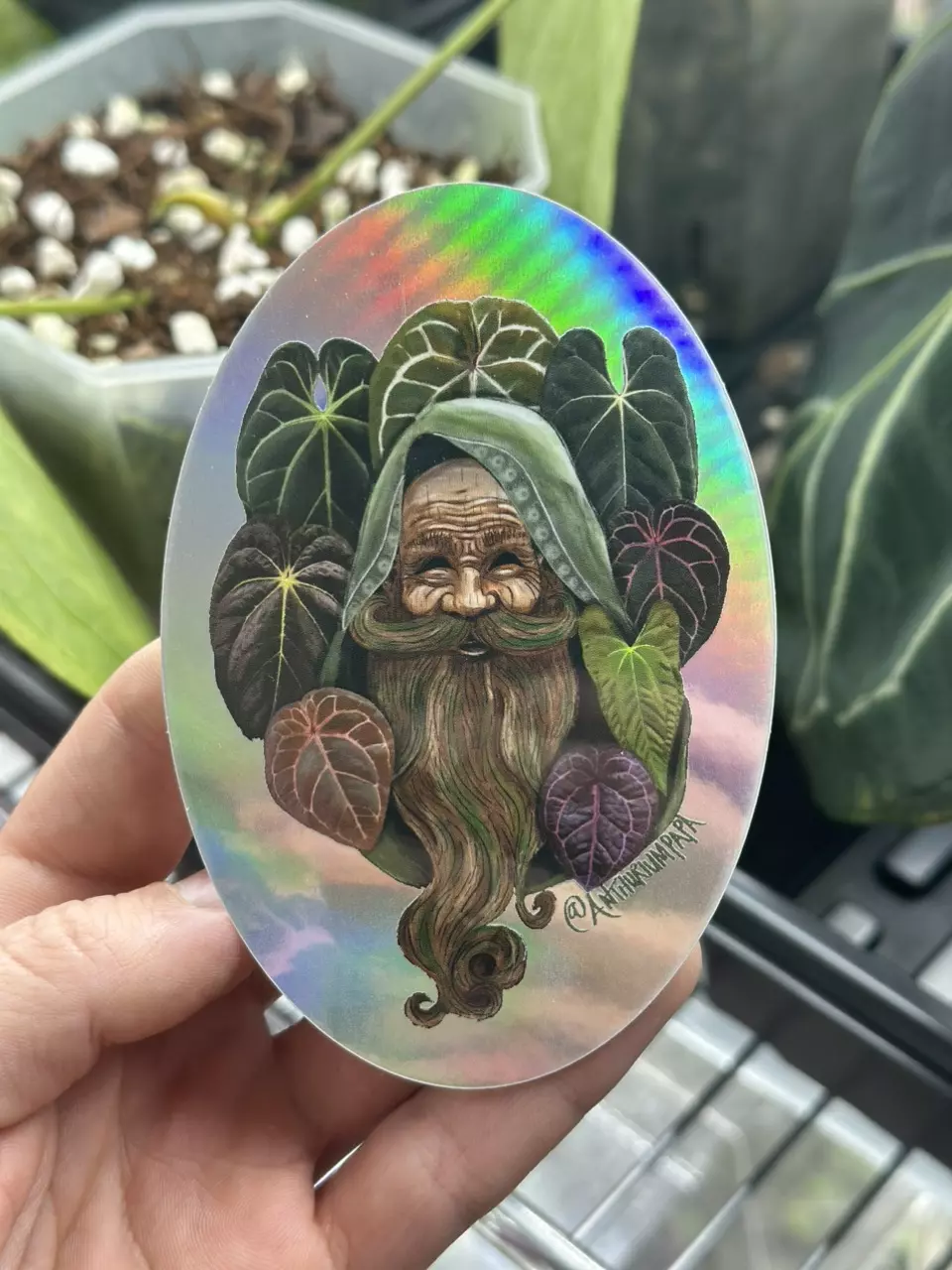 plant/Old Man Papa Holo Sticker add on only!-0
