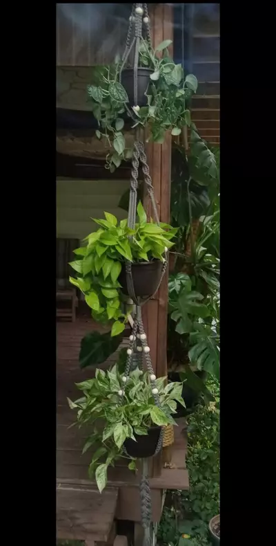 plant/3-Tier Plant Hanger-over 7 ft long!-8-thumbnail