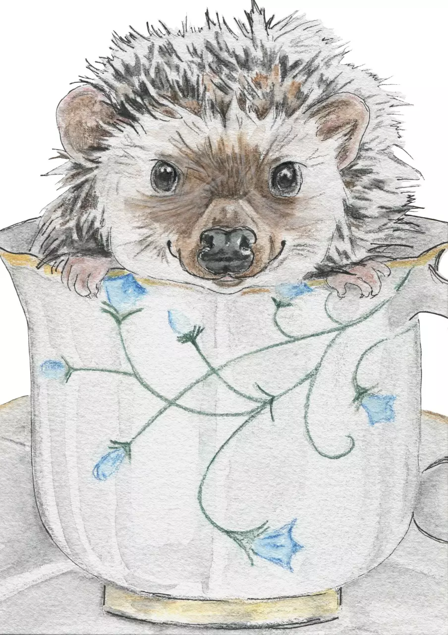 plant/Heather the Hedgehog-0