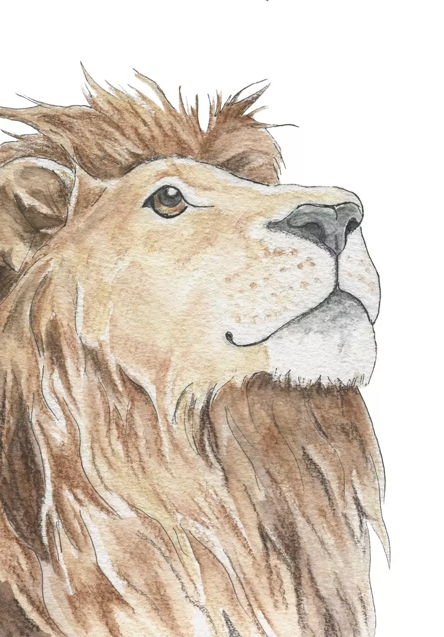 plant/Leo the Lion-0