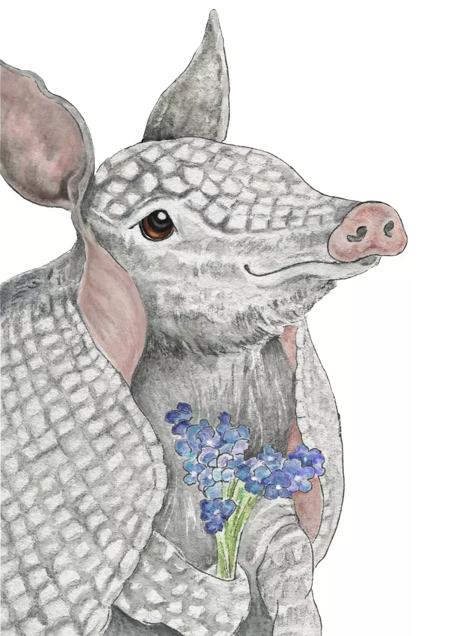 plant/Arnold the Armadillo-0