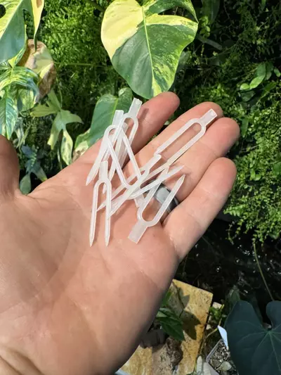 plant/ADD ON ONLY Propagation pins pack of 25-0-thumbnail