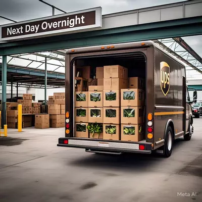 heat_pack/UPS/Fedex 1day upgrade (not for HI, AK) (up to 8 SMALL plants only) No 6”-0-thumbnail