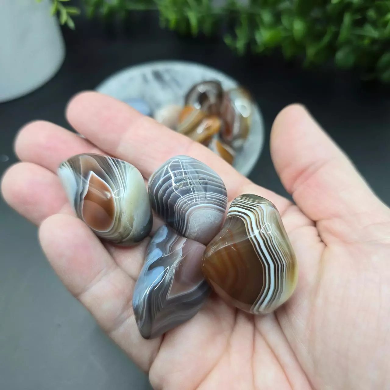 plant/Botswana Agate tumble-1