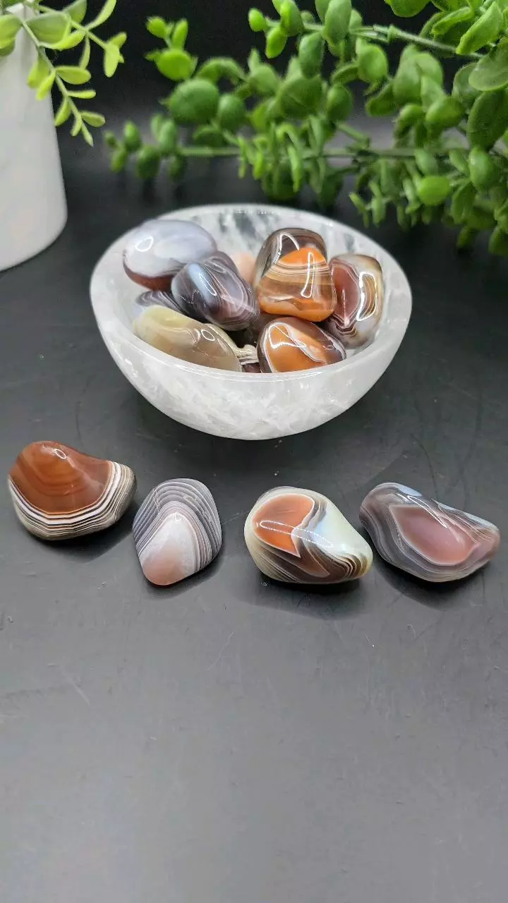 plant/Botswana Agate tumble-2