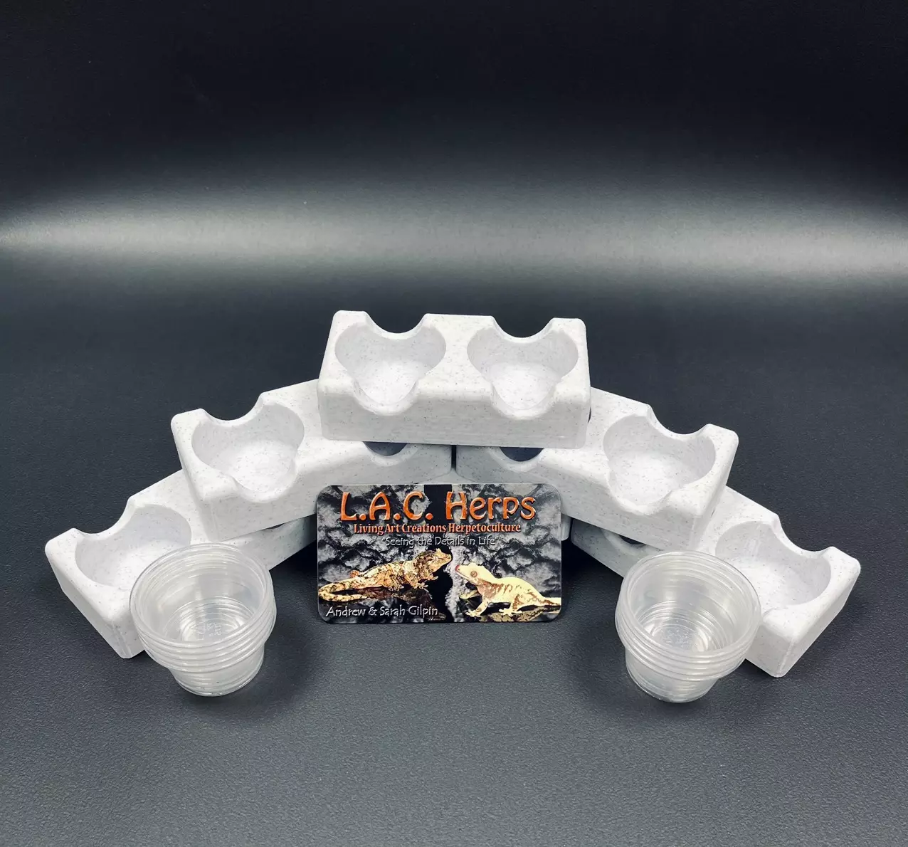 plant/Locking Food Bowl Holders - 6 pack-0