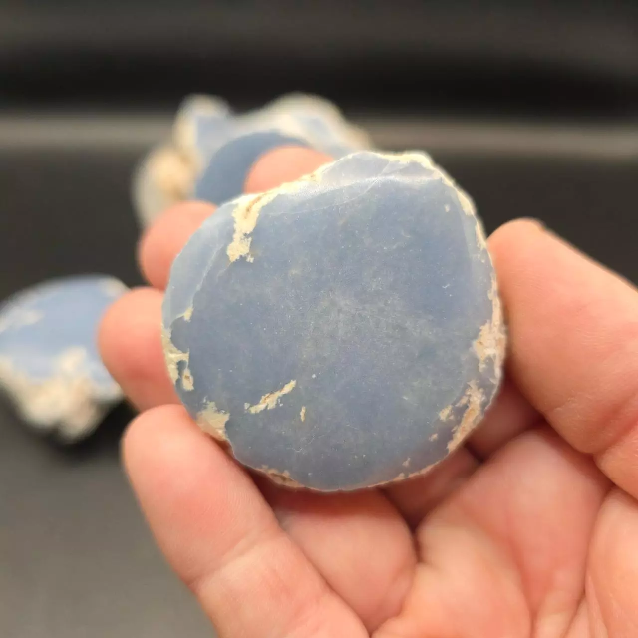 plant/Angelite Window from Peru-1