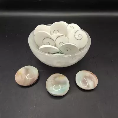 plant/Shiva eye shell Indonesia-0-thumbnail