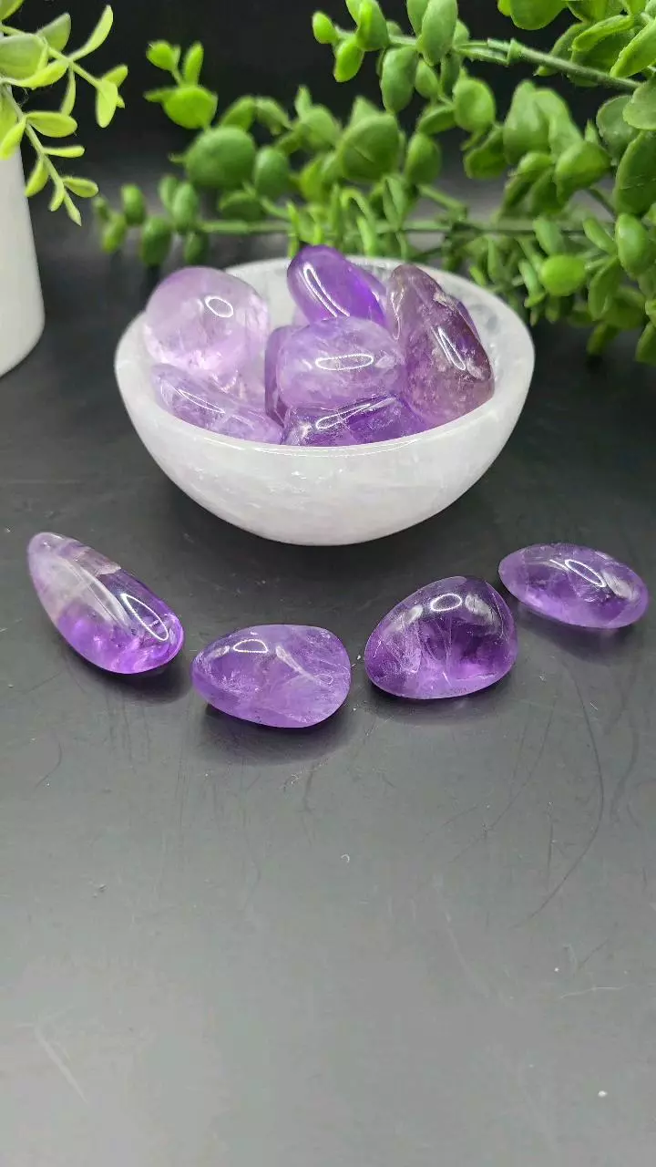 plant/Amethyst tumble brazil-3