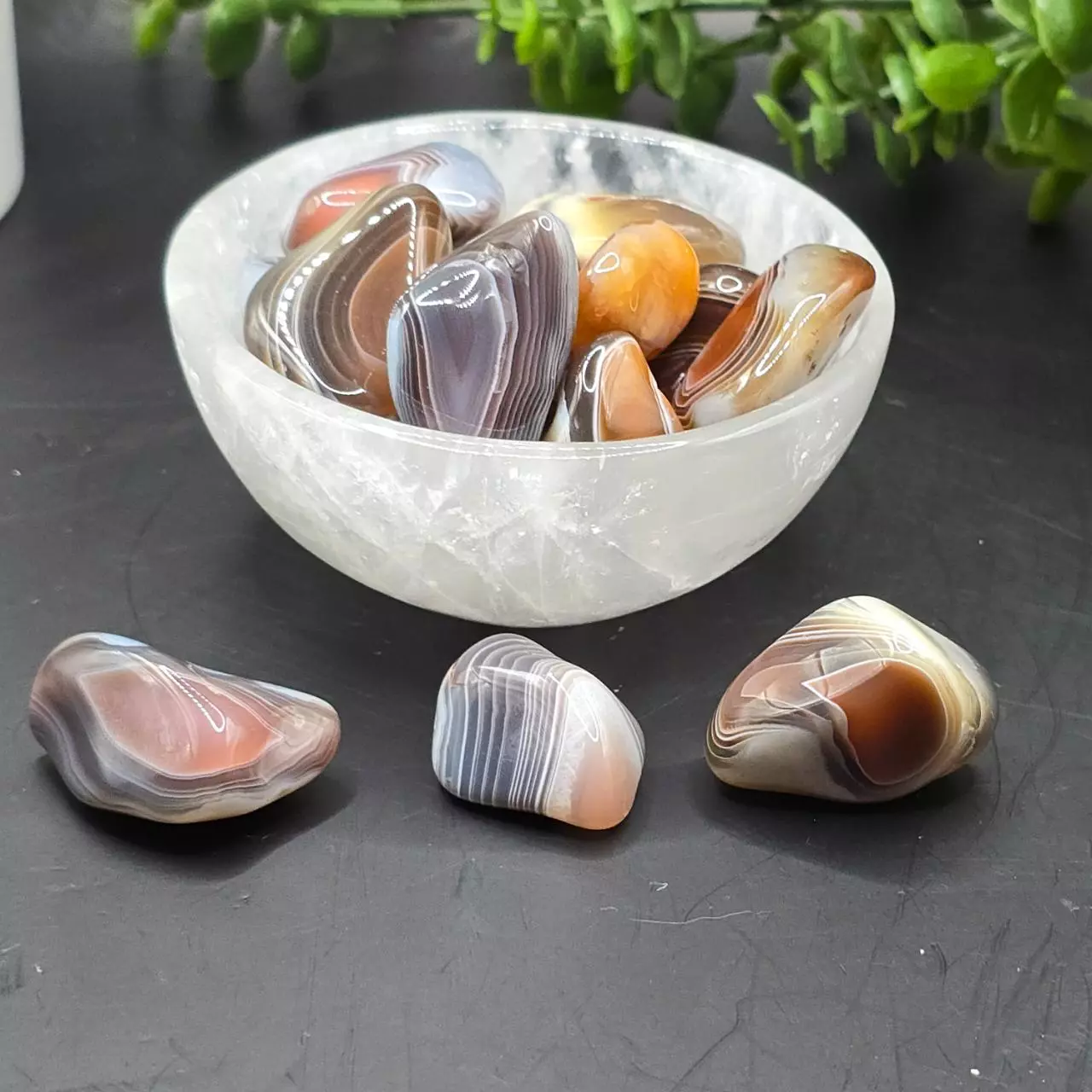 plant/Botswana Agate tumble-0