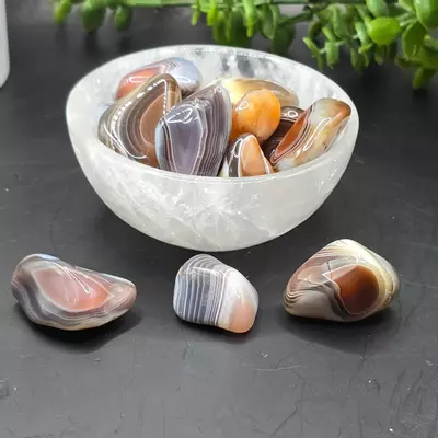 plant/Botswana Agate tumble-0-thumbnail