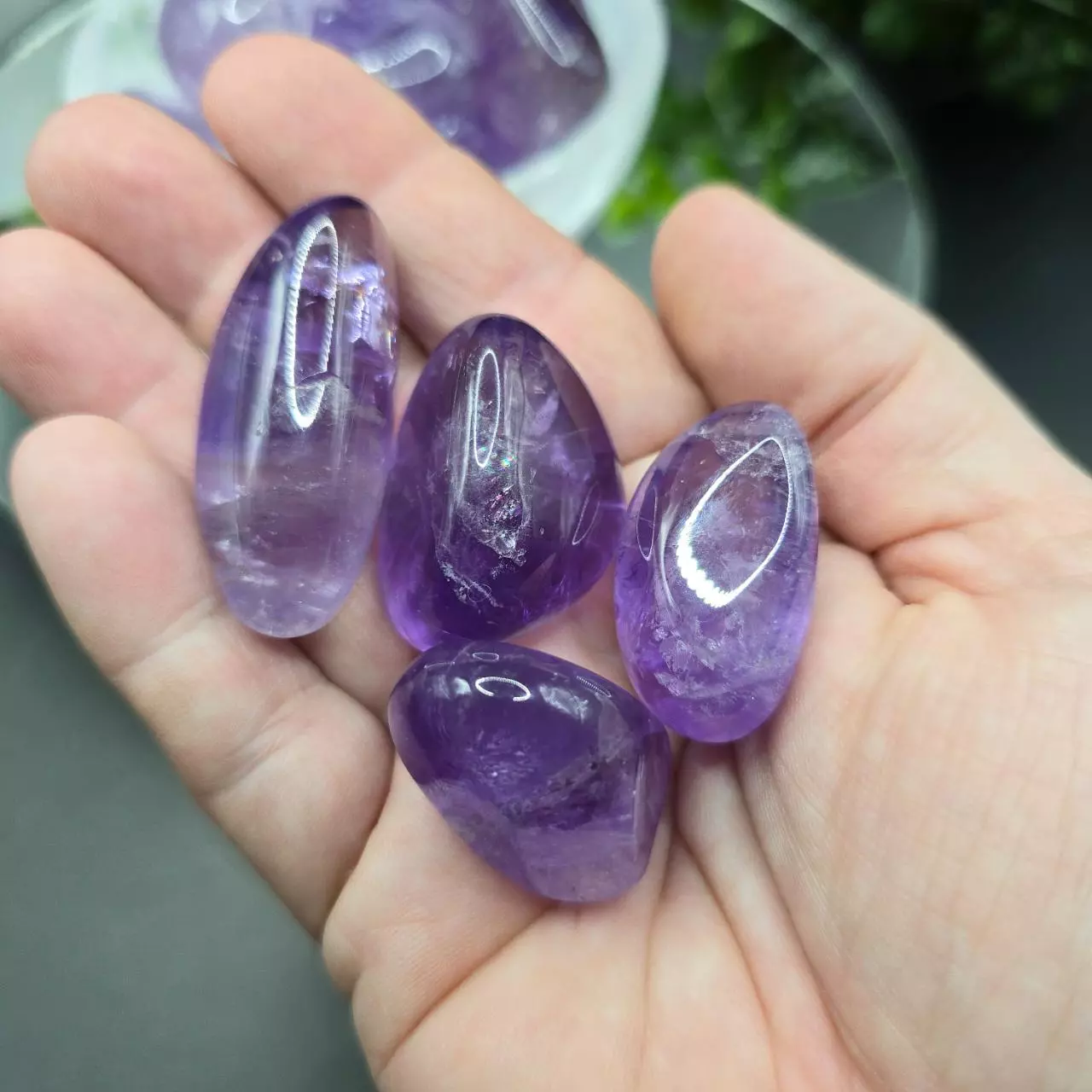plant/Amethyst tumble brazil-1