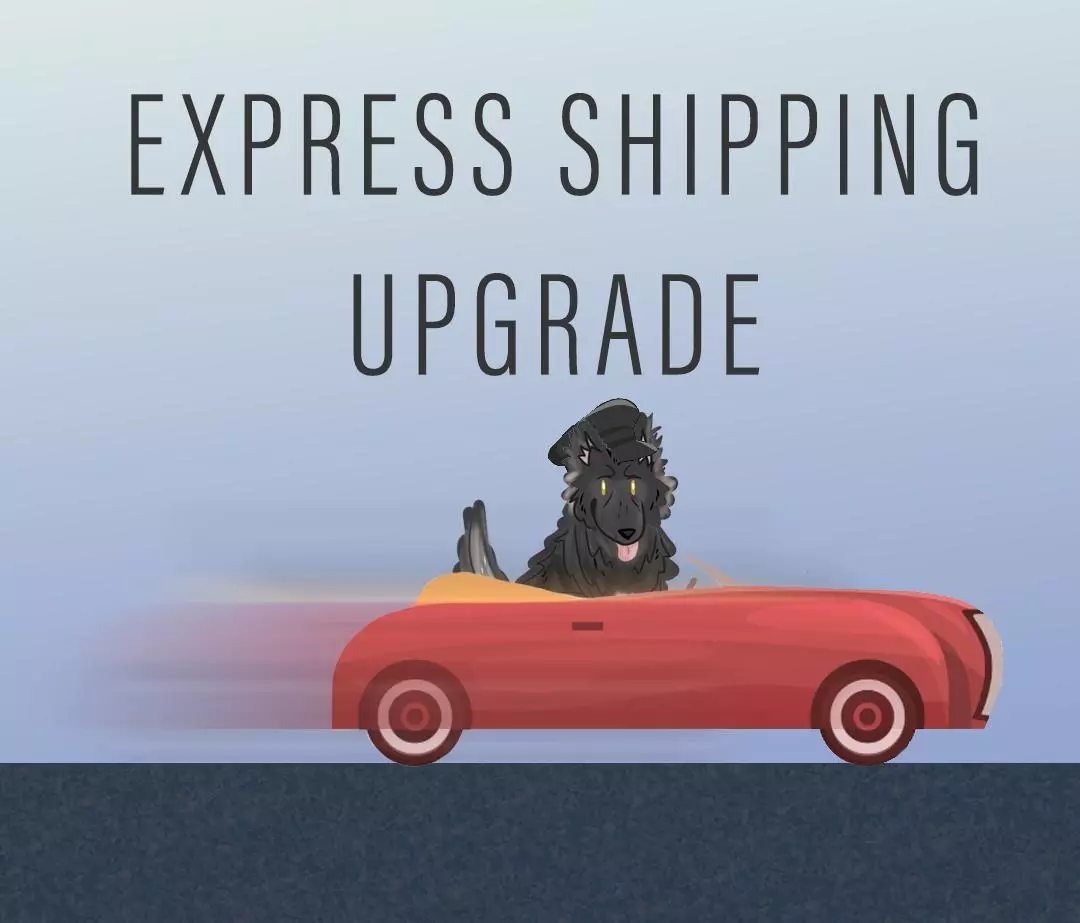 shipping_upgrade/Shipping Upgrade Express-0