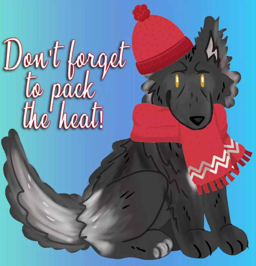 heat_pack/Shipping Insulation-0