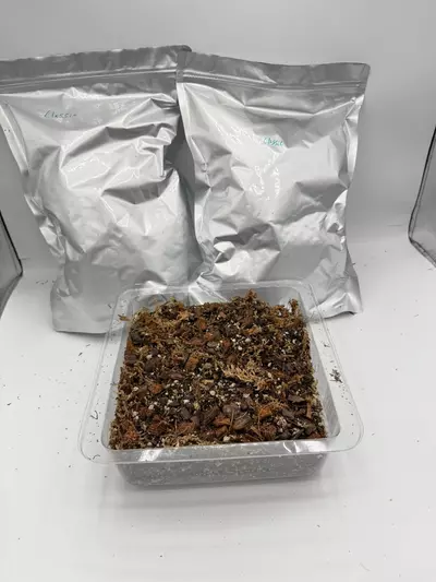 plant/Classic Premium Soilless Potting Mix - 1 Gallon-0-thumbnail