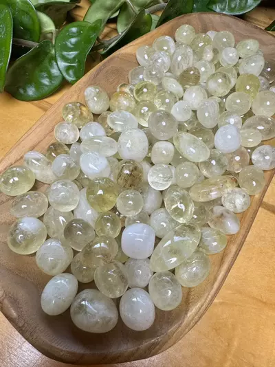 plant/Citrine Tumbles (3)-0-thumbnail