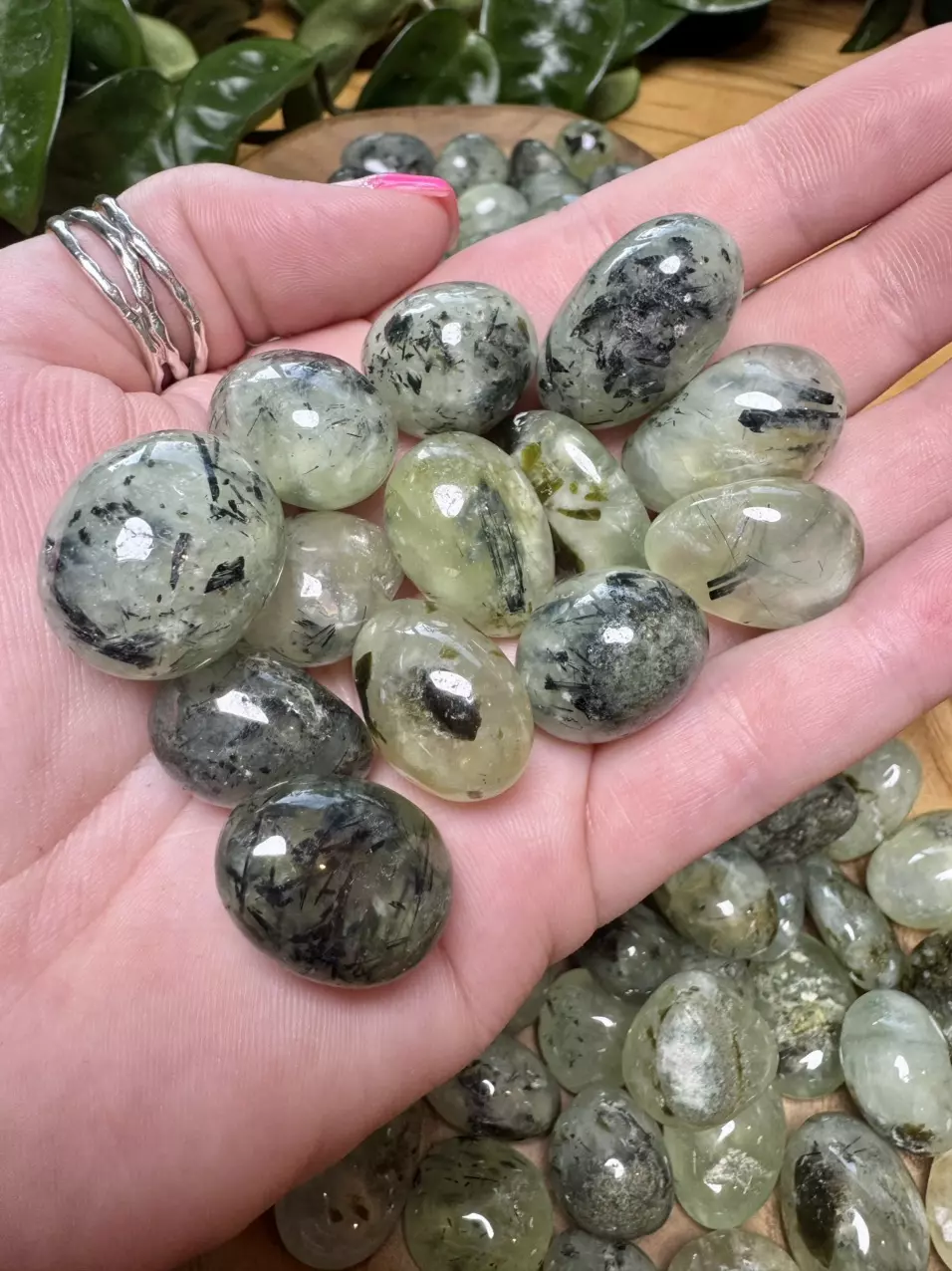 plant/Prehnite Tumbles (3)-1