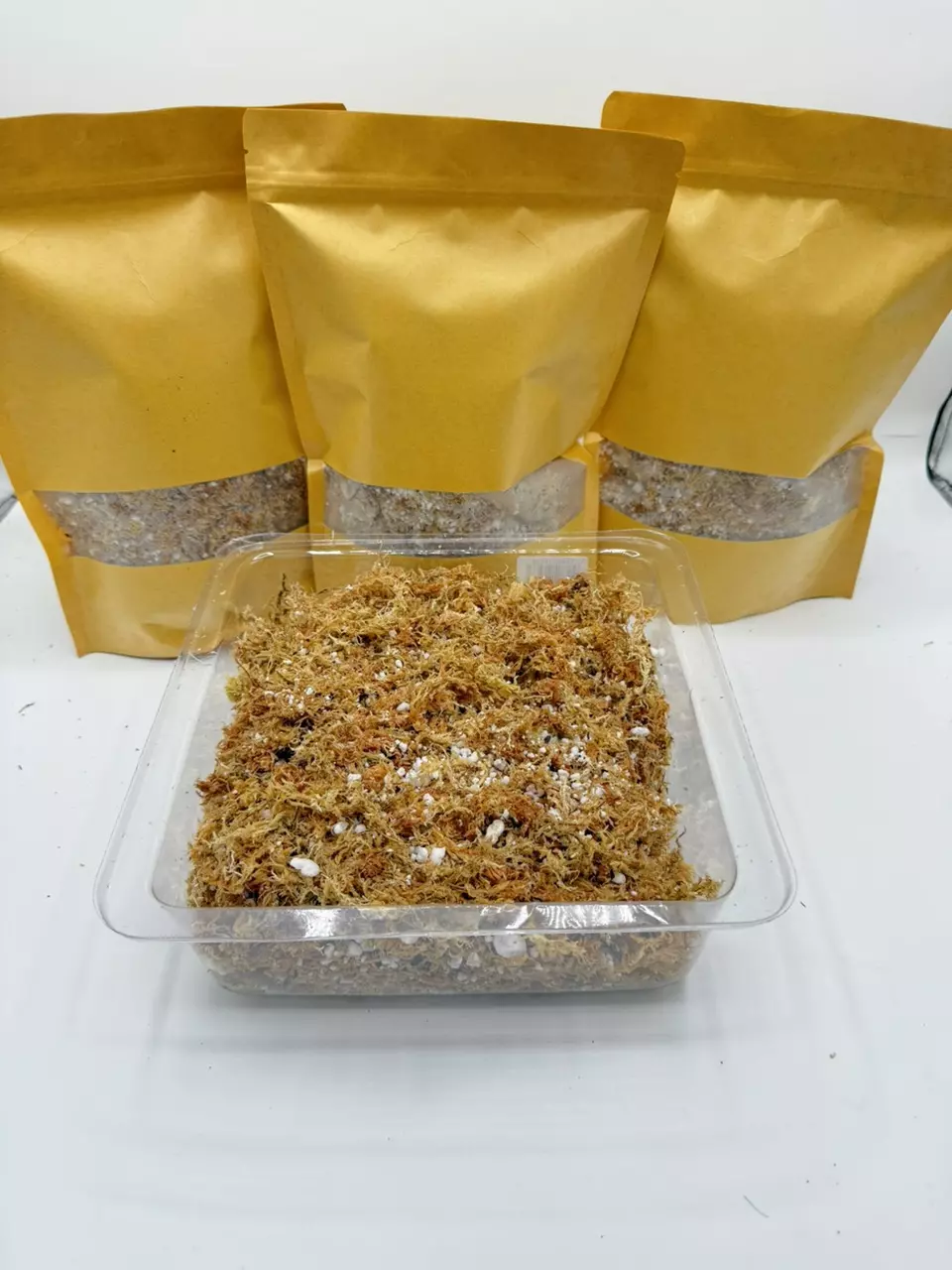 plant/Long-Fiber Sphagnum Moss w/Perlite-0