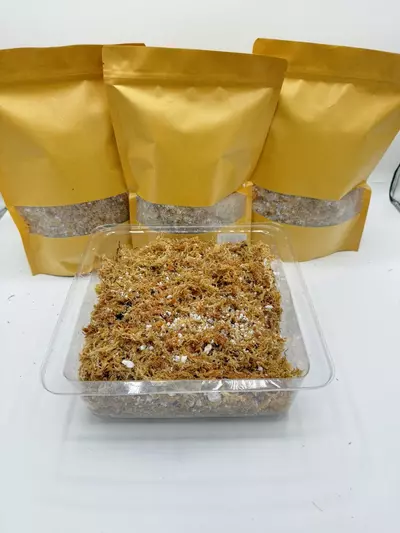 plant/Long-Fiber Sphagnum Moss w/Perlite-0-thumbnail