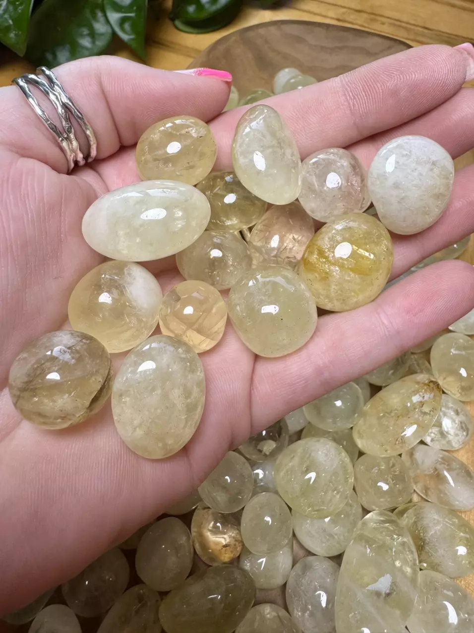 plant/Citrine Tumbles (3)-1