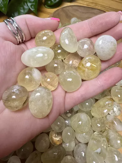 plant/Citrine Tumbles (3)-1-thumbnail