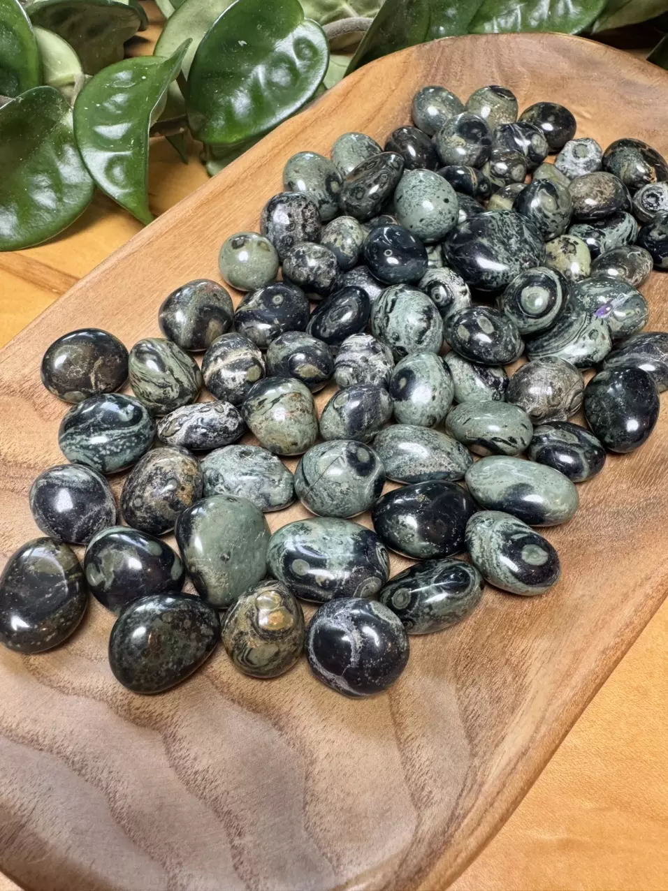 plant/Kambaba Jasper Tumbles (3)-0