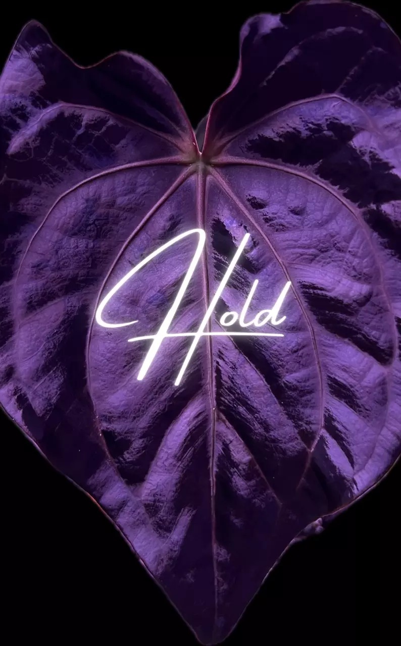 plant/Hold Until 10/6-0