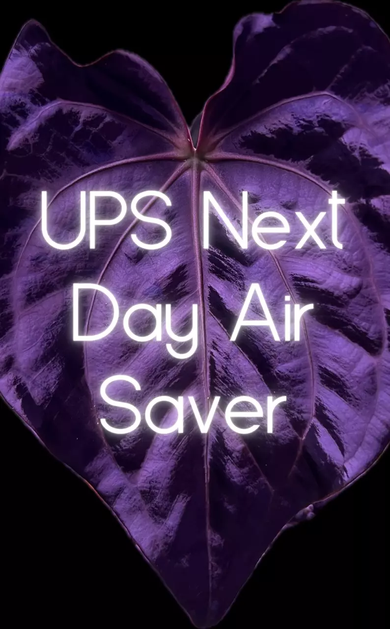 shipping_upgrade/Upgrade Shipping: UPS Next Day Air Saver-0