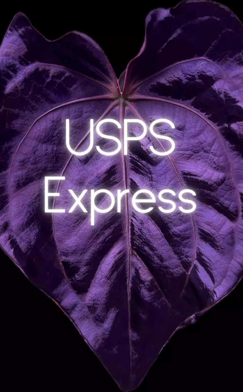 shipping_upgrade/Upgrade Shipping: USPS Next Day Express-0