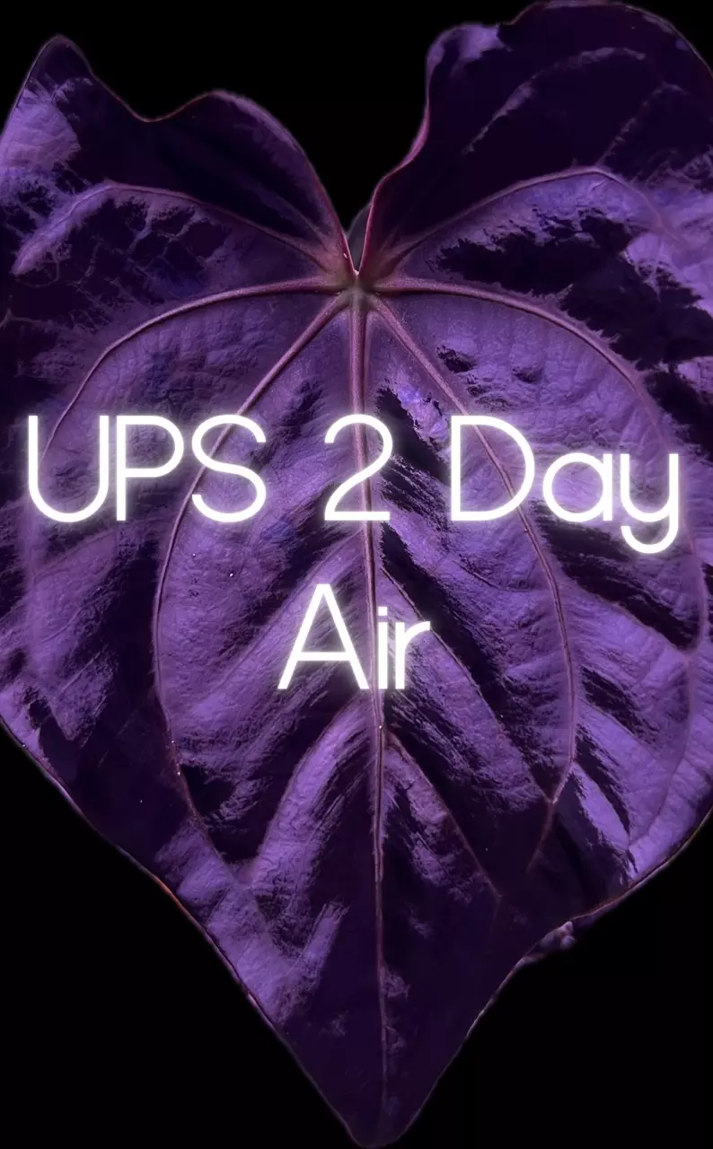 shipping_upgrade/Upgrade Shipping: UPS 2 Day Air-0
