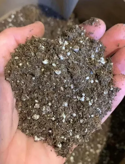 plant/Succulent Soil Mix, Quart Bag-0-thumbnail