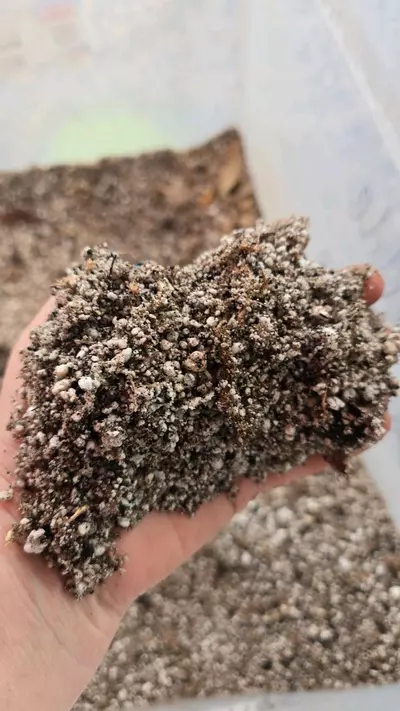 plant/MIX Soft Mix 1x gallon-0-thumbnail