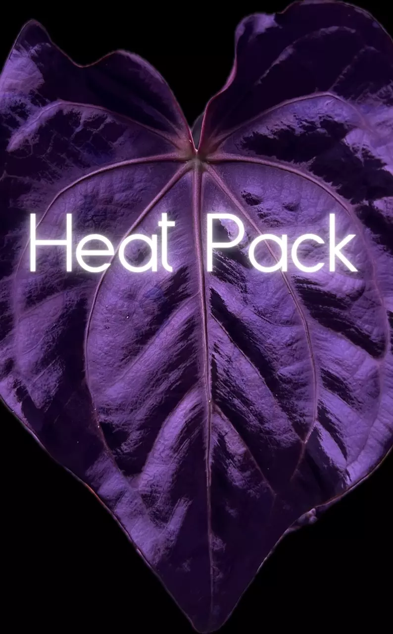 heat_pack/Add On: Heat Pack-0