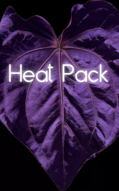 heat_pack/Add On: Heat Pack-0-thumbnail