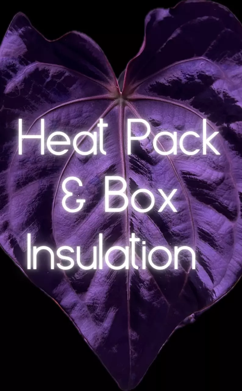 heat_pack/Add on: Heat Pack and Box Insulation-0