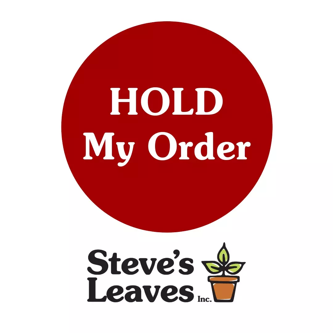 free_shipping/Hold **Up to 2 lives**-0