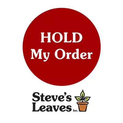 free_shipping/Hold **Up to 2 lives**-0-thumbnail