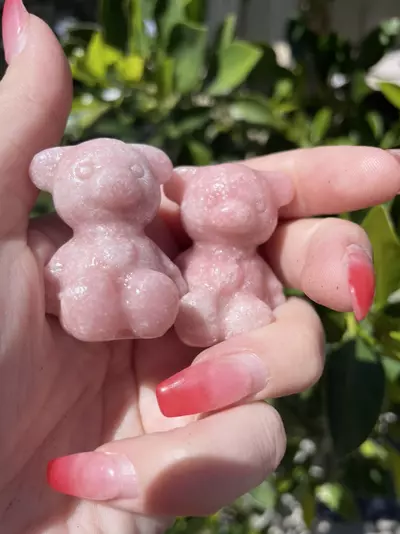 plant/Pink Opal Teddy Bear-0-thumbnail
