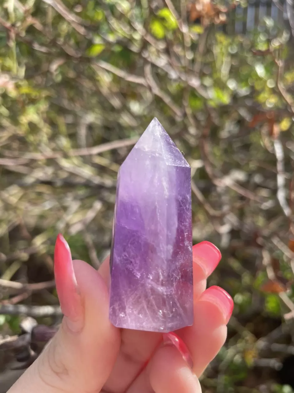 plant/Amethyst Tower E-0