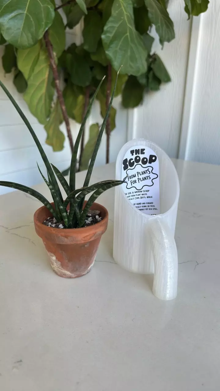 plant/Small crystal scoop-0