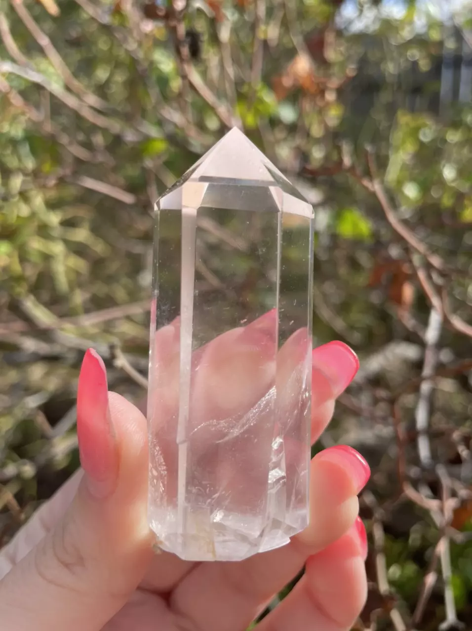 plant/Clear Quartz Tower A-0