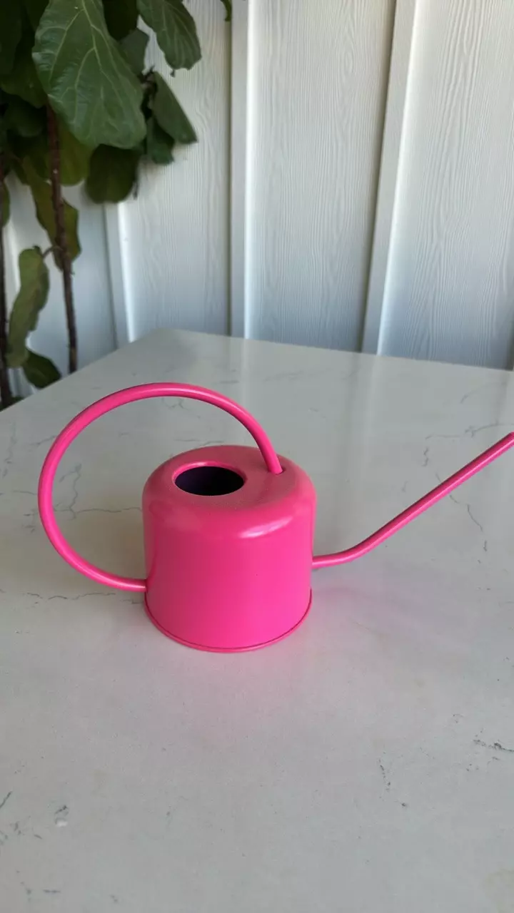 plant/Perfect pink watering can-0