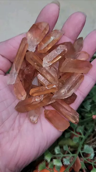 plant/Tangerine Lemurian Quartz Points-0-thumbnail