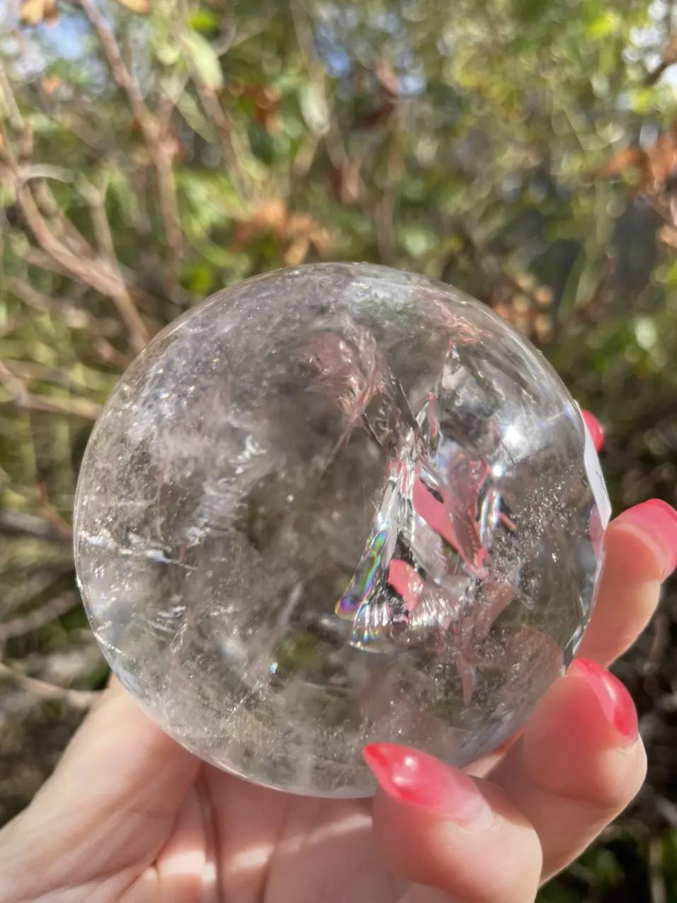 plant/Clear Quartz Sphere-0