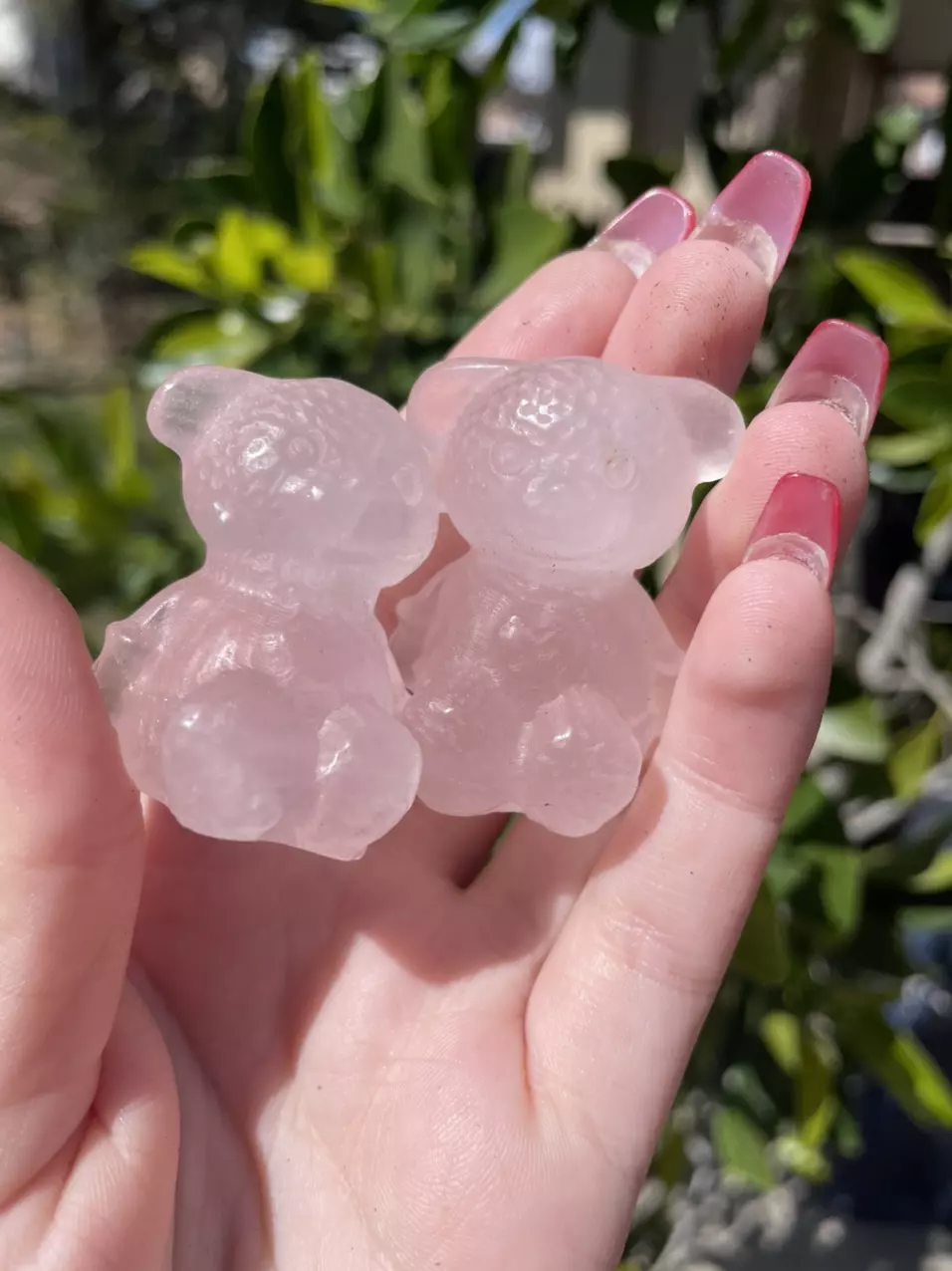 plant/Rose Quartz Teddy Bear-0