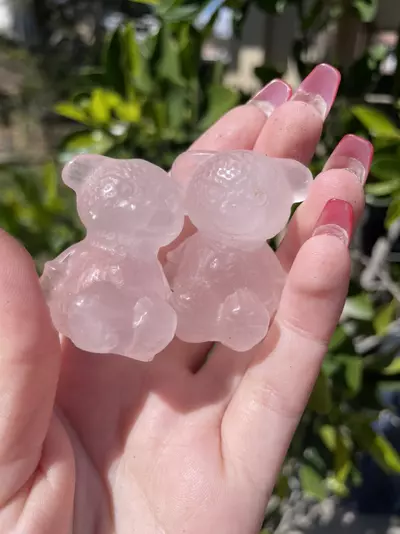 plant/Rose Quartz Teddy Bear-0-thumbnail