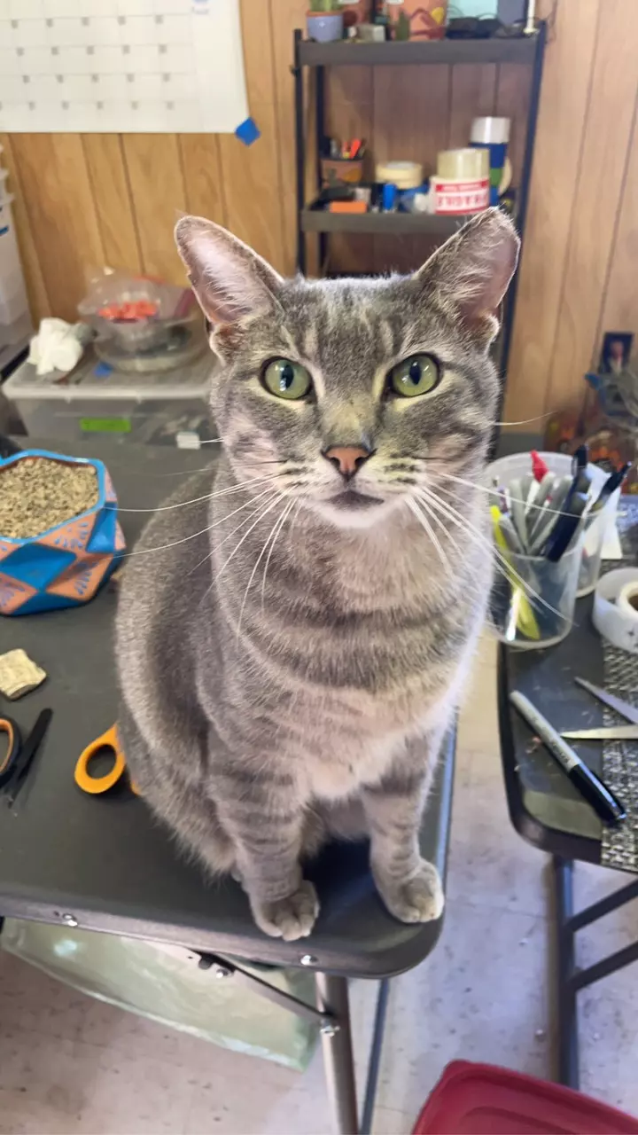 plant/Shipping materials-0