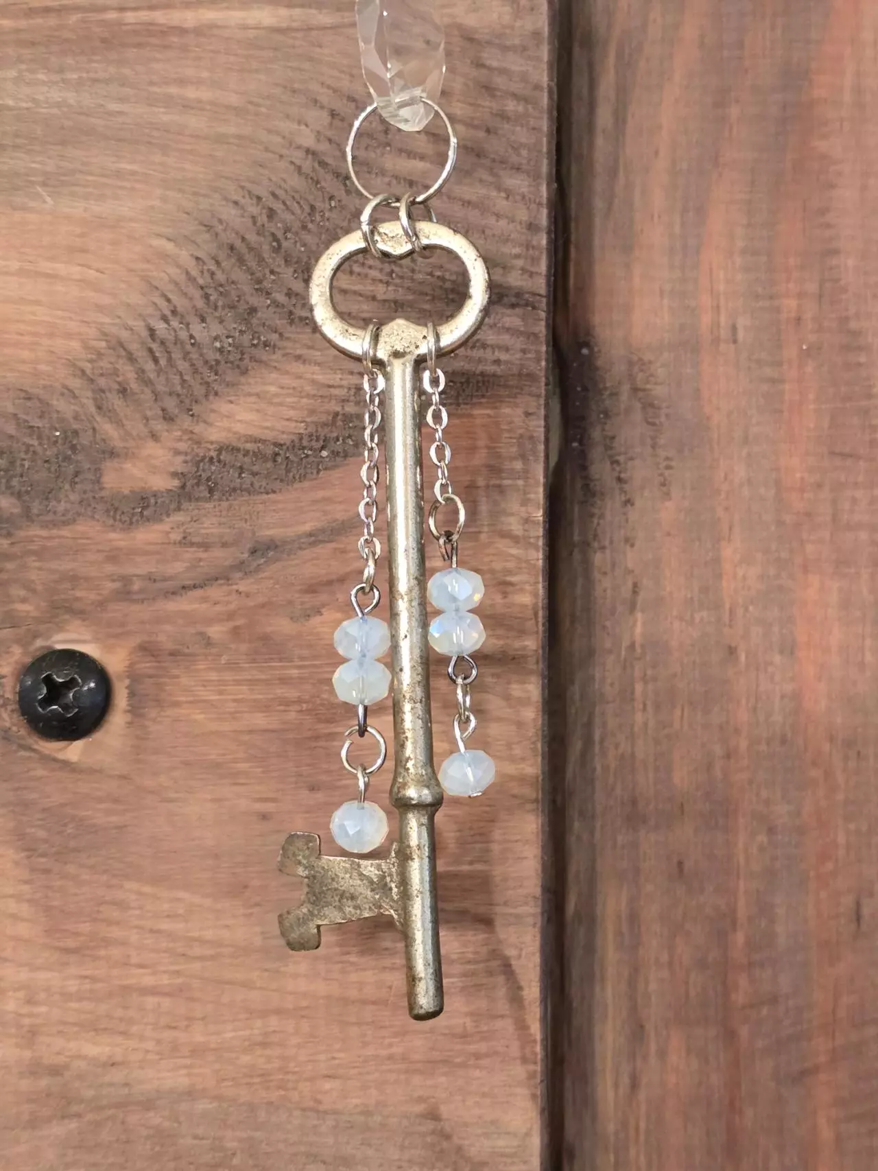 plant/Cuff and Key Suncatcher-1