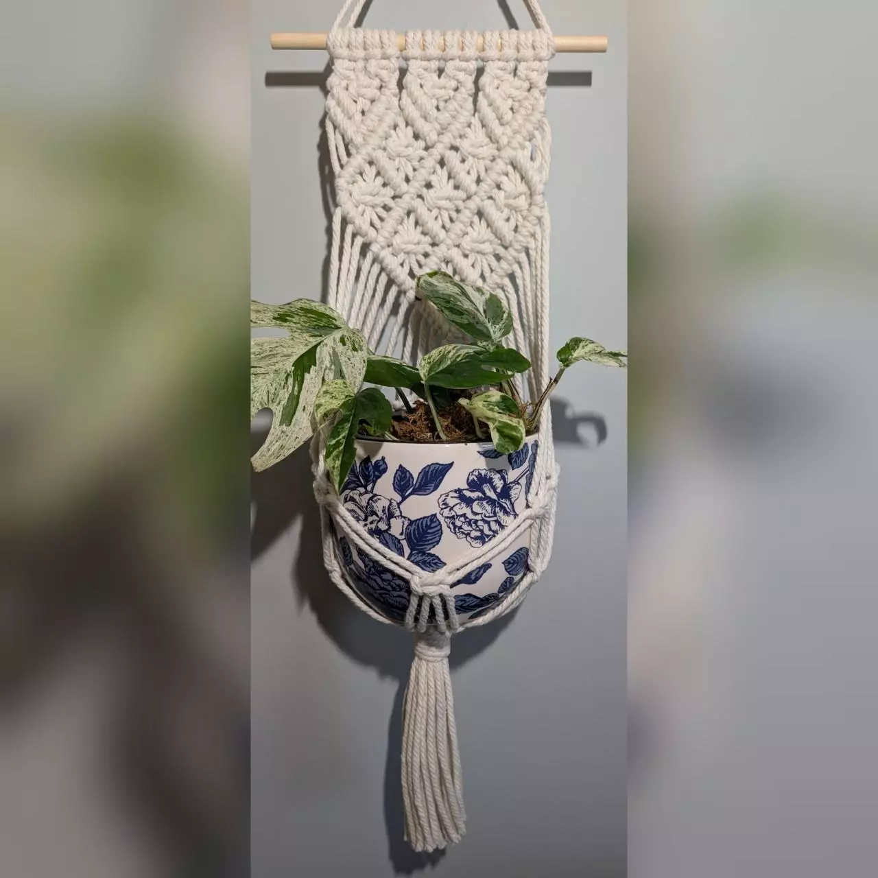 plant/#359 Wall Plant Hanger, your color choice-0