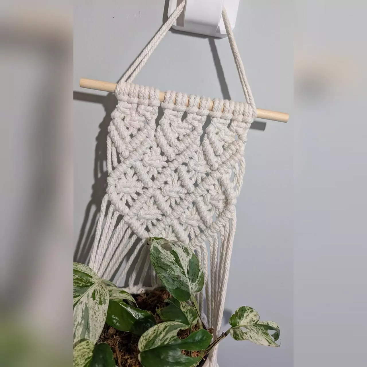 plant/#359 Wall Plant Hanger, your color choice-1